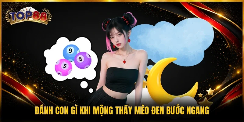 Giải Mã Giấc Mơ TOP88 3 Đánh con gì khi mộng thấy mèo đen bước ngang