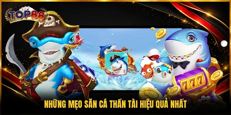 Những mẹo săn cá Thần Tài hiệu quả nhất