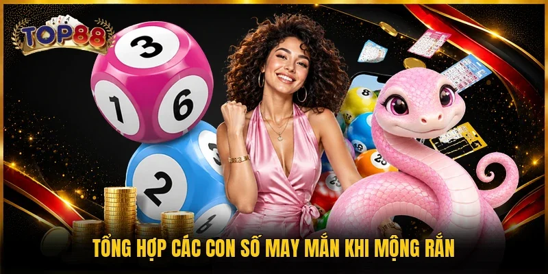 Tổng hợp các con số may mắn khi mộng rắn